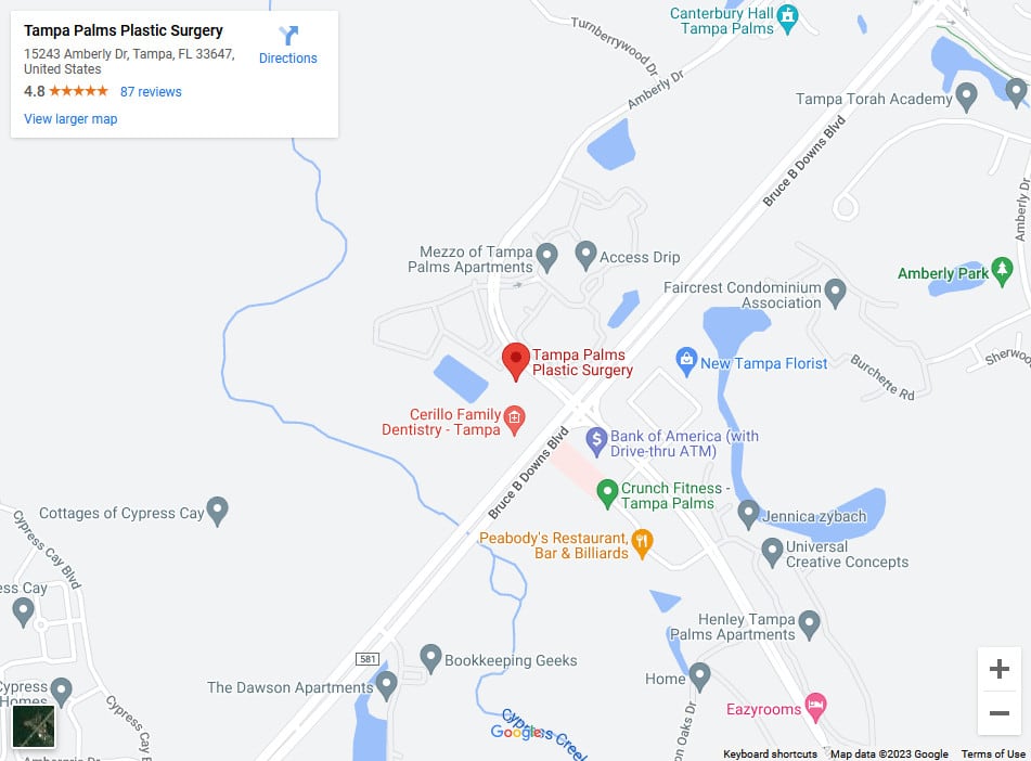 tampa palms map